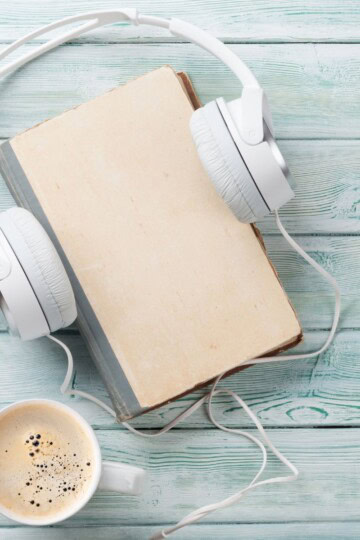 Winter Thriller Audiobooks