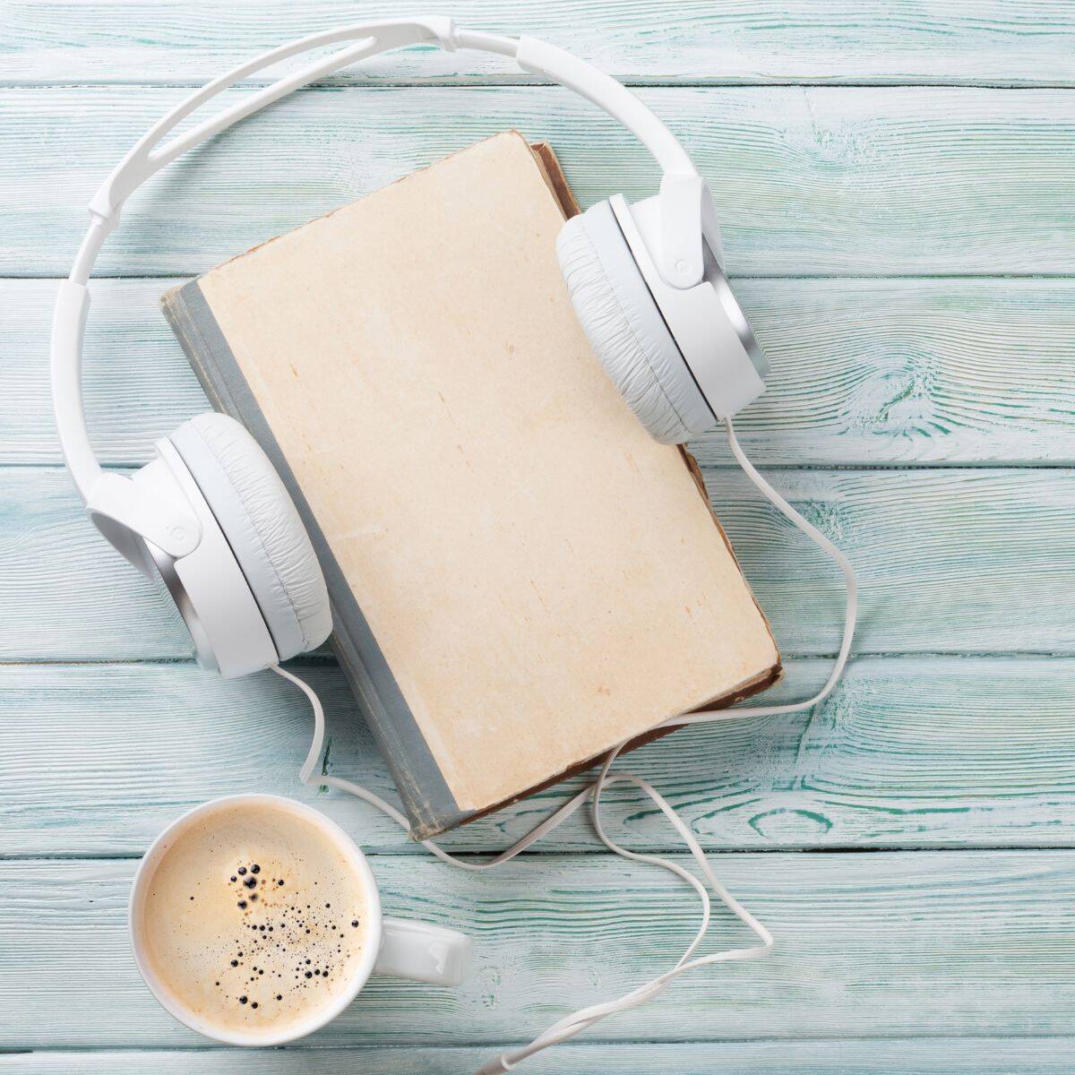 Winter Thriller Audiobooks