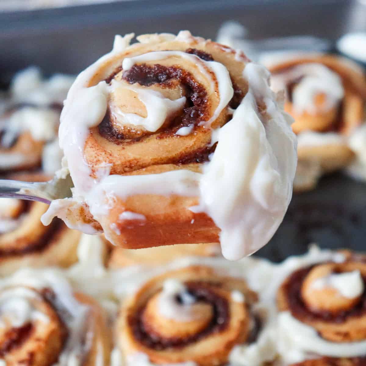 Cinnamon Rolls