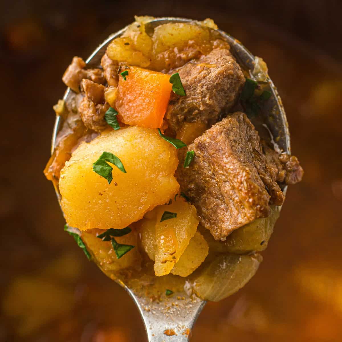 Instant Pot Beef Stew