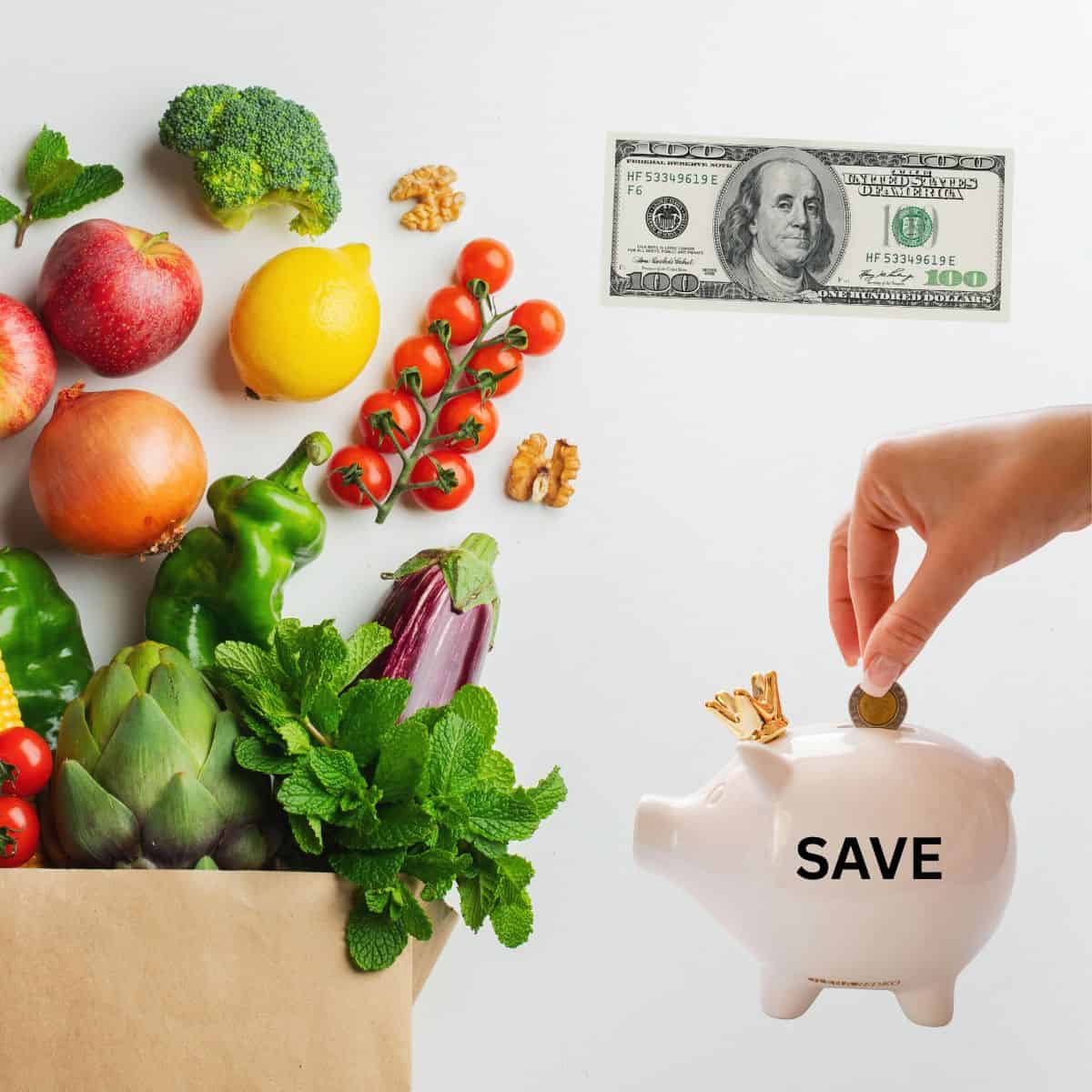 Save money at the grocery store A bag of groceries, a piggy bank, and a $100 bill