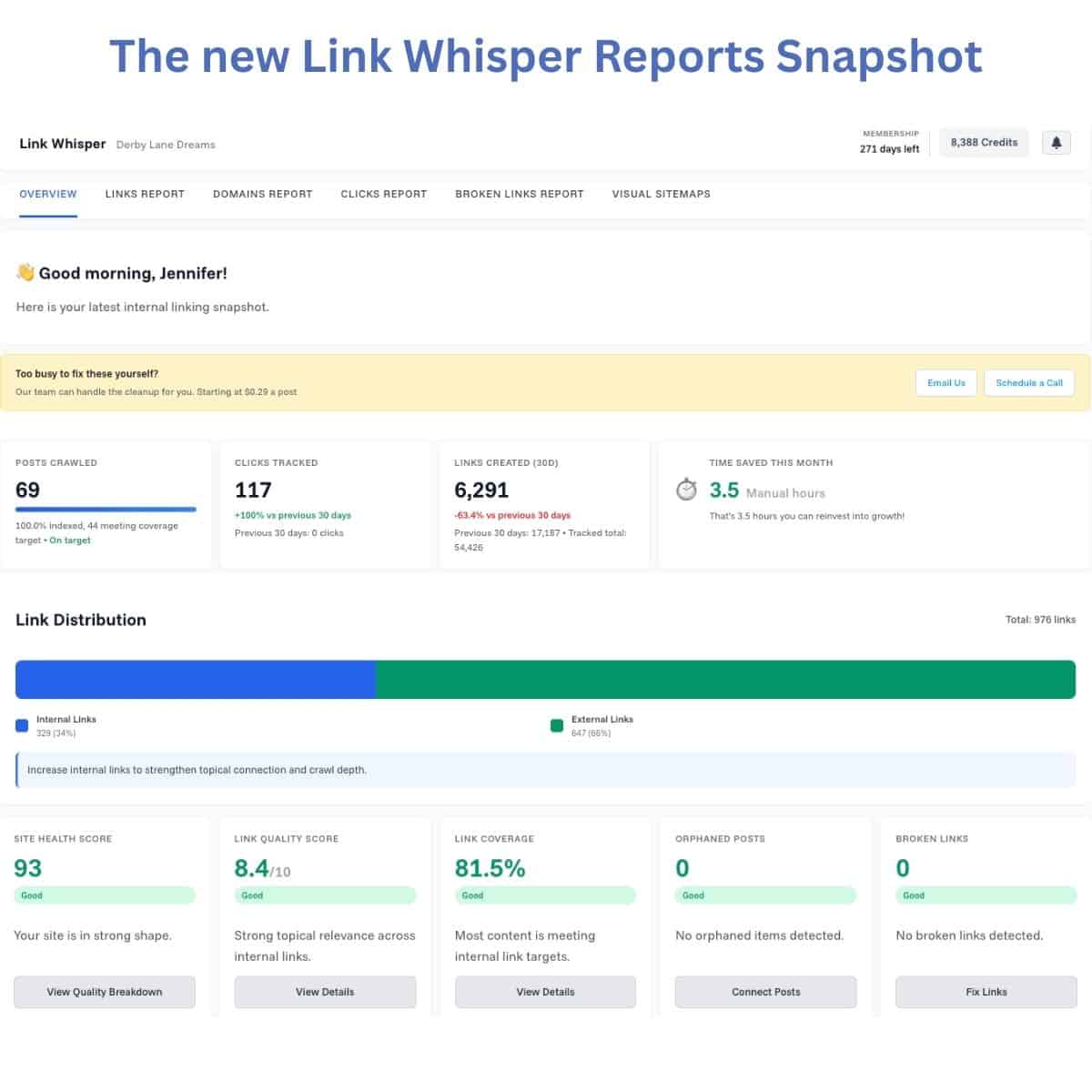 Link Whisper linking report Link Whisper auto-linking report