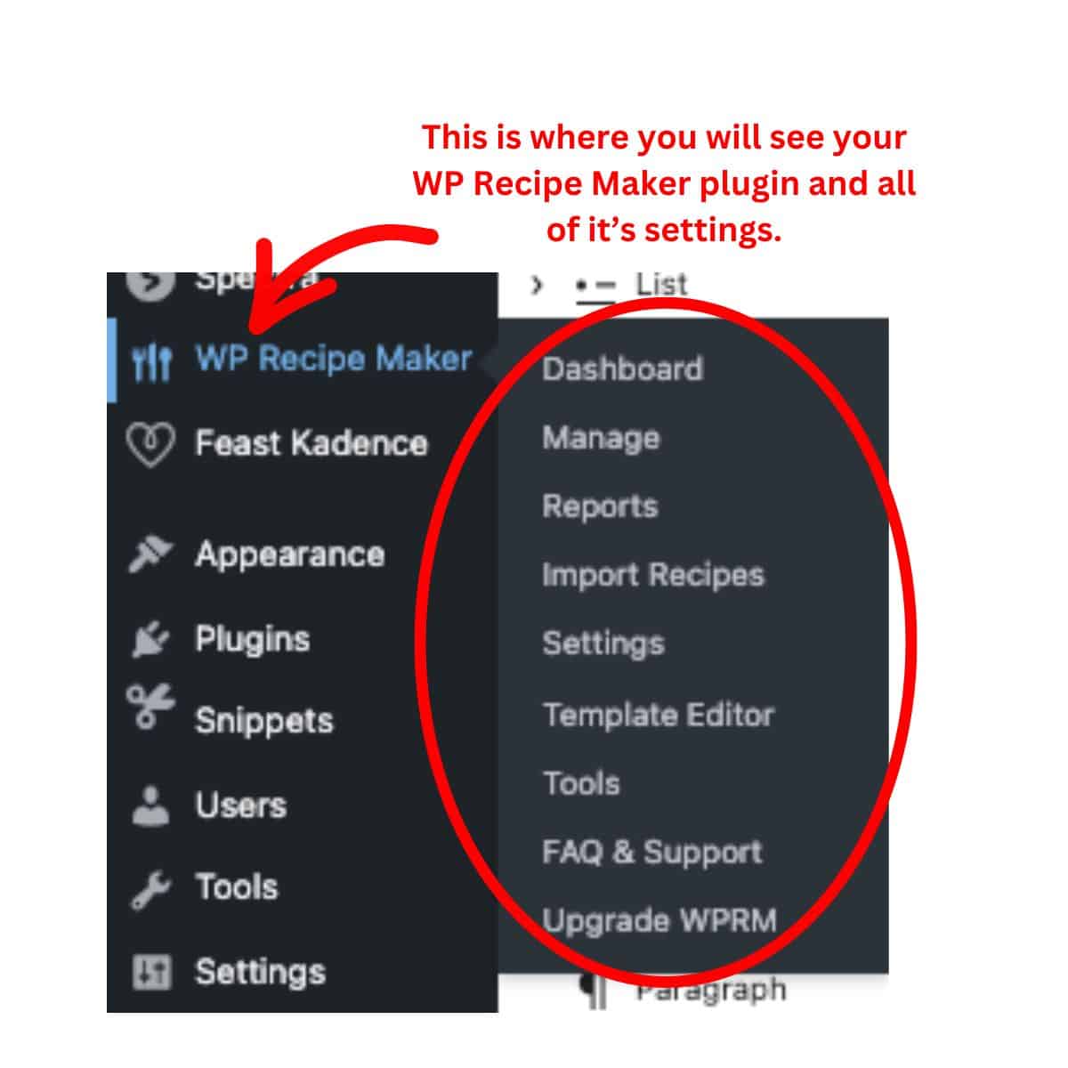 WP Recipe Maker plugin installed on computer WP Recipe Maker plugin installed on computer